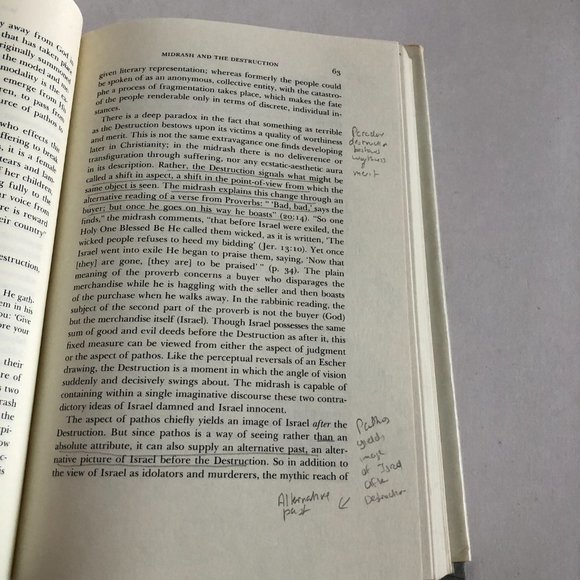 Hurban: Responses to Catastrophe in Hebrew Literature Hardcover by Alan Mintz - Picture 13 of 16